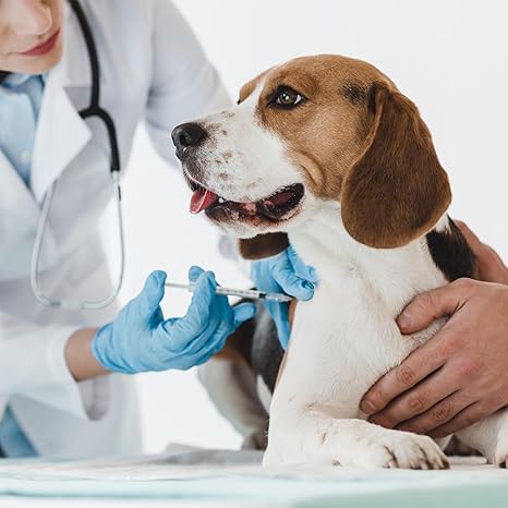 U-100 Syringes with Needle - 30G 5/16" (8mm) 1ml/cc Disposable Syringe, Individual Wrapped, 30PACK